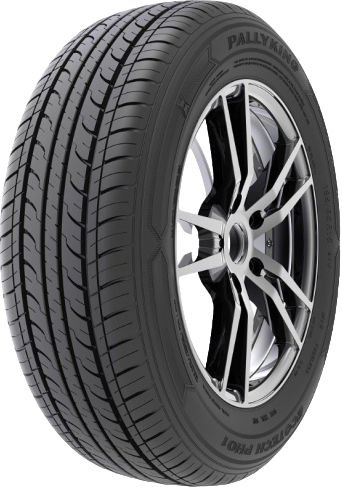 Летние шины PALLYKING PH01 205/55 R16 91V