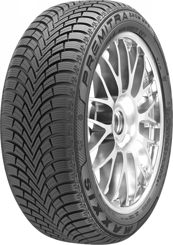 Зимние шины Maxxis WP6 205/45 R17 88V