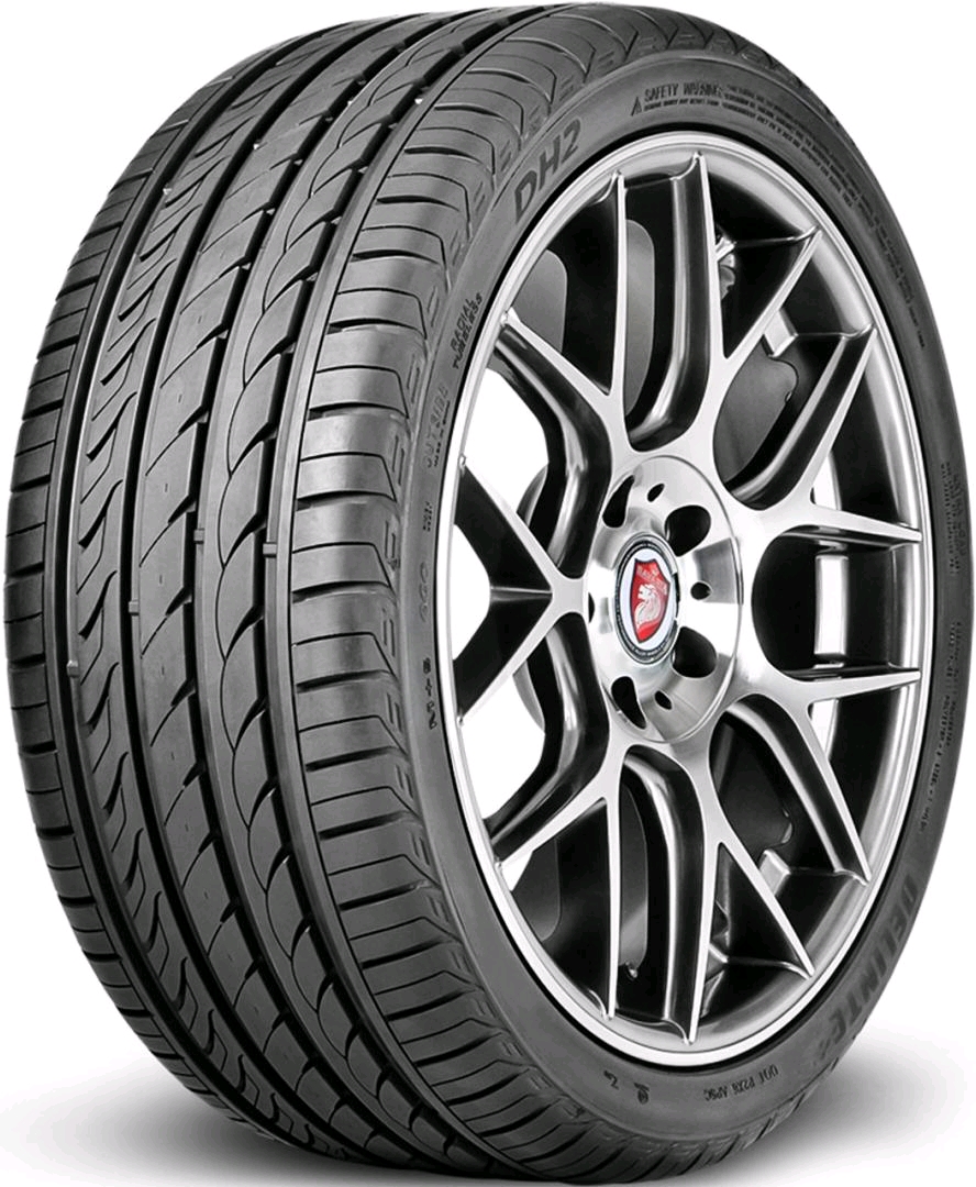 Шины DELINTE DS2 215/55 R17 98W