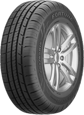 Летние шины Fortune FSR602 205/65 R15 99H