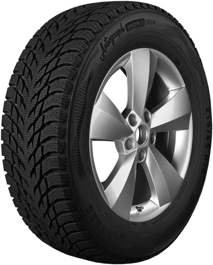 Зимние шины NOKIAN TYRES (IKON TYRES) AUTOGRAPH SHOW 3 SUV 285/50 R20 116 (B6)R Зимние шины NOKIAN TYRES (IKON TYRES) AUTOGRAPH SHOW 3 SUV 285/50 R20 116 (B6)R