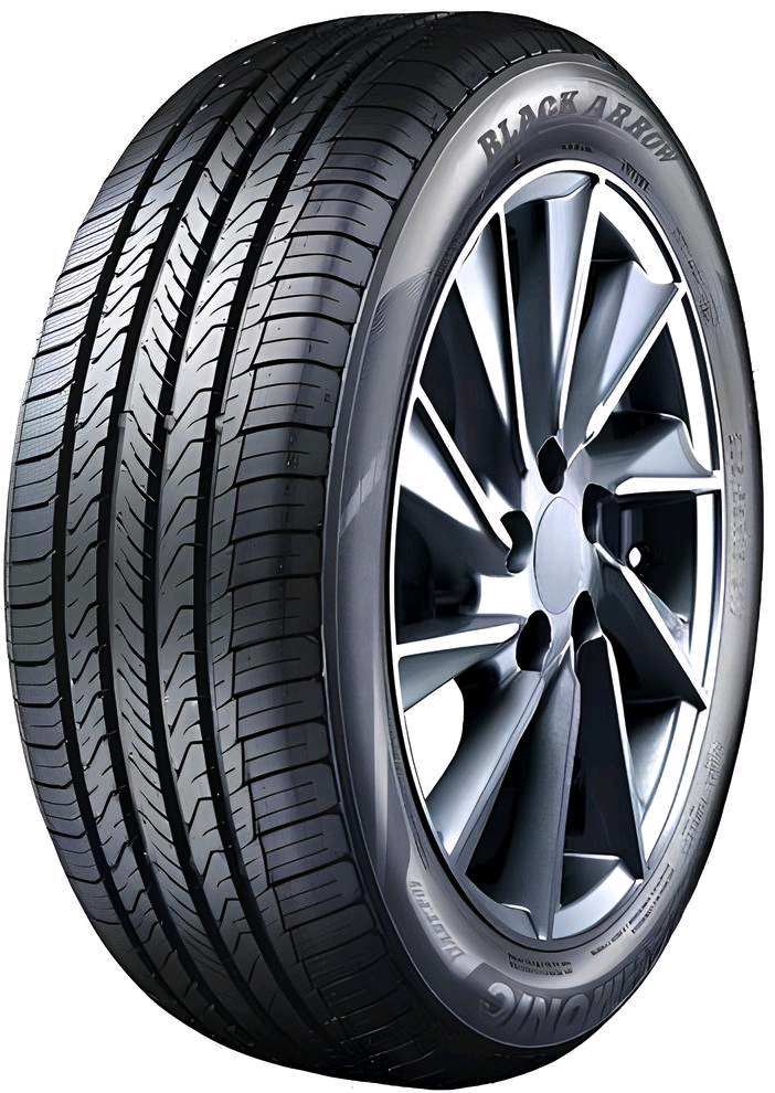 Зимние шины BLACK ARROW WP10 205/55 R16 91T