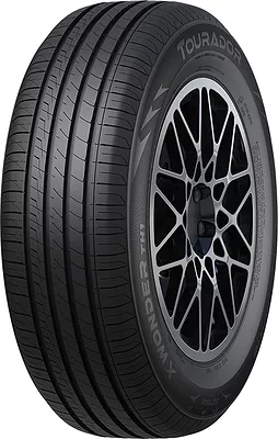 Летние шины TOURADOR TH1 205/55 R16