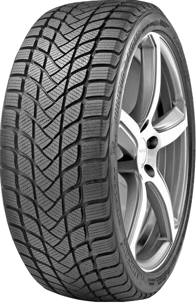 Зимние шины DELINTE WD6 205/55 R16