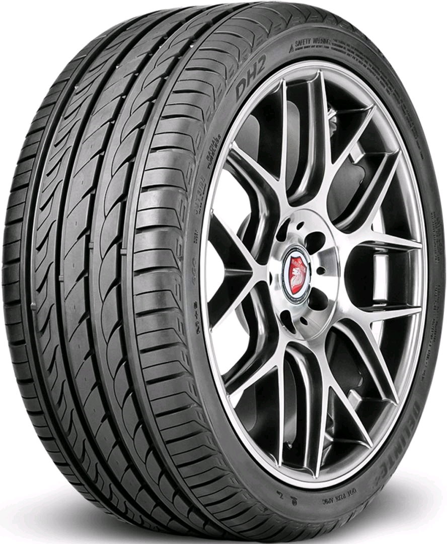 Летние шины DELINTE DS2 225/55 R17