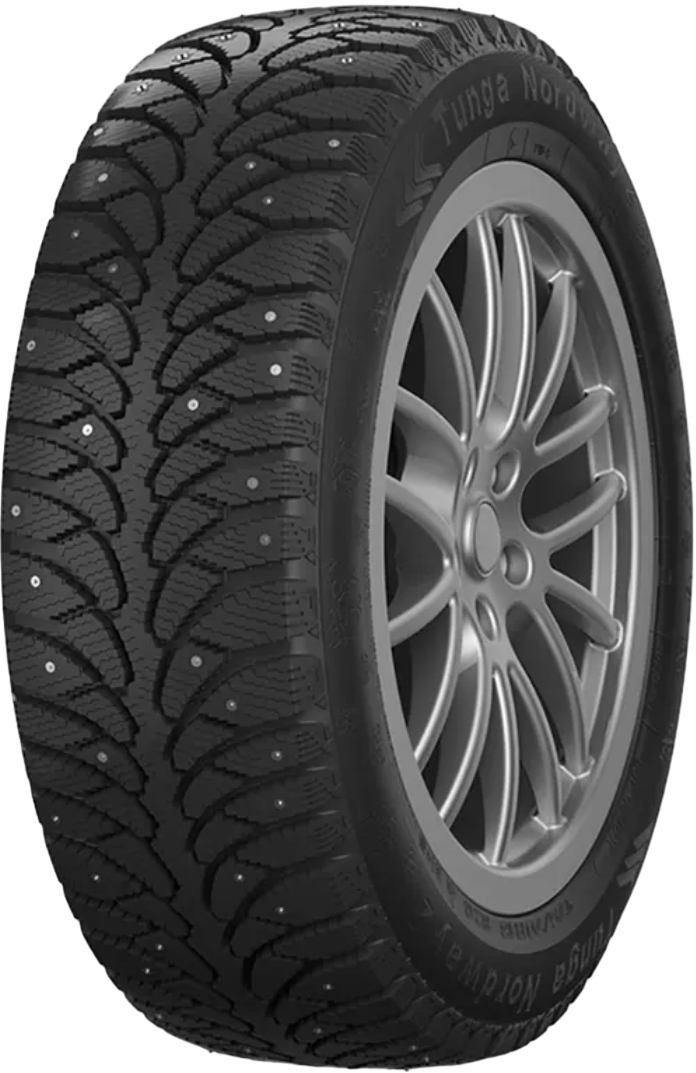 Зимние шины Tunga NORDWEY 2 PW-5 195/65 R15