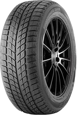 Зимние шины Doublestar (Китай) DW09 245/40 R18 93H
