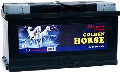 Автомобильный аккумулятор Golden Horse 90 А/Ч, прямая полярность