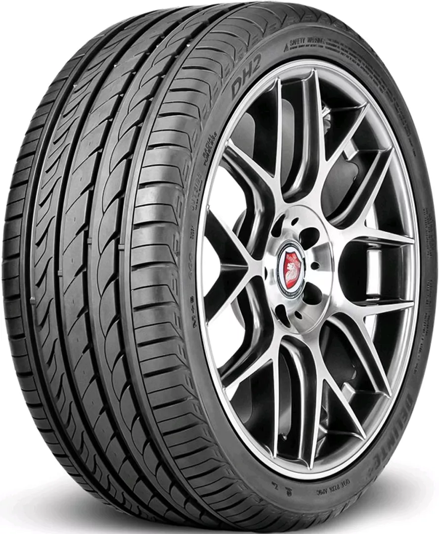 Летние шины DELINTE DS2 205/75 R16 110 (B0)R