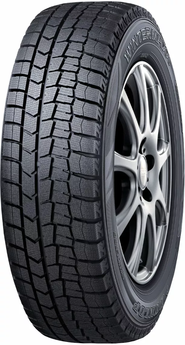 Зимние шины Dunlop WINTER MAXX WM02 245/45 R19 T