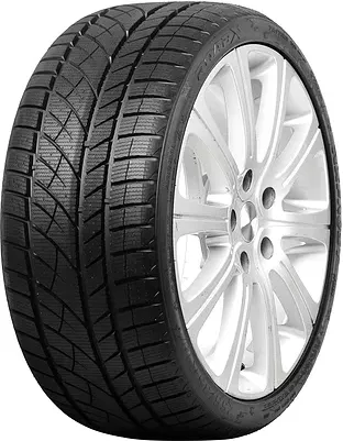 Зимние шины RoadX Frost WU01 255/40 R19